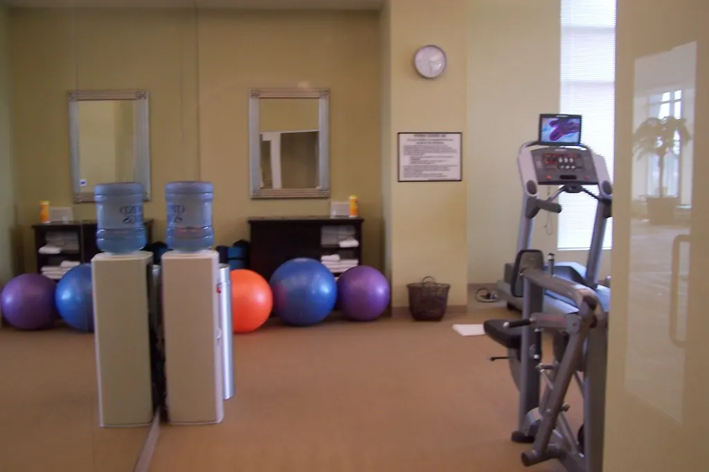 Home workout room with exercise balls, mats and cardio machines