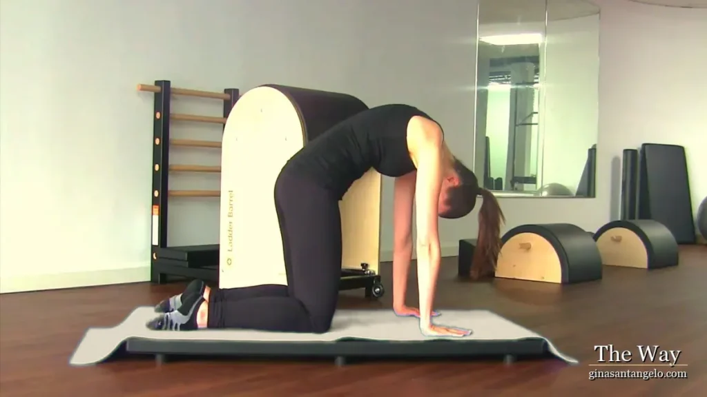 Cat stretch on a mat in a Pilates studio, from Gina Santangelo